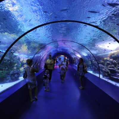 11Ausflug zum Aquarium in Istanbul