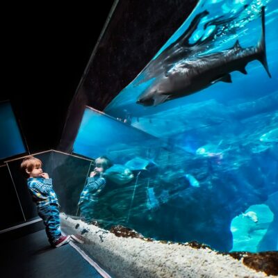 11Ausflug zum Aquarium in Istanbul