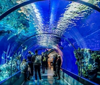 11Antalya Aquarium