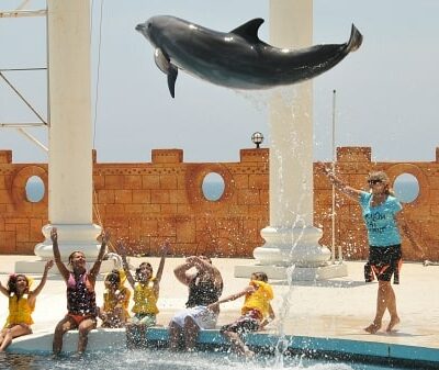 11Delfinarium Antalya