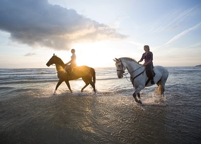 Alanya Reiten